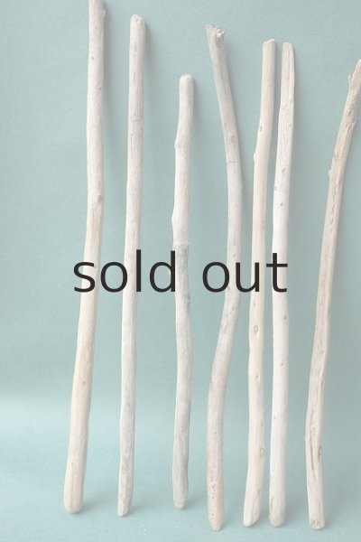 画像2: 棒流木セット (2)