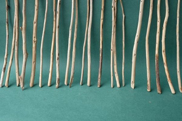 画像5: 棒流木セット (5)