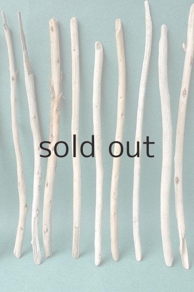 画像4: 棒流木セット (4)