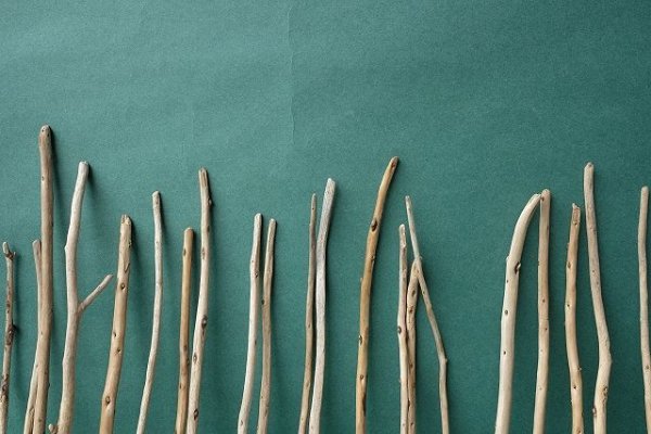 画像6: 棒流木セット (6)