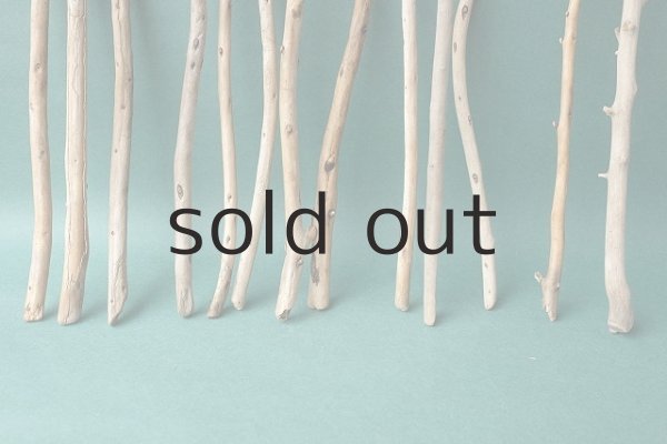 画像6: 棒流木セット (6)