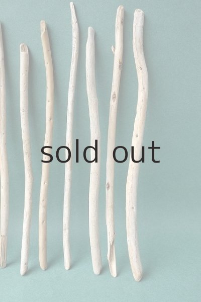 画像5: 棒流木セット (5)