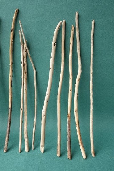 画像4: 棒流木セット (4)