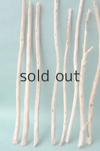 画像2: 棒流木セット (2)