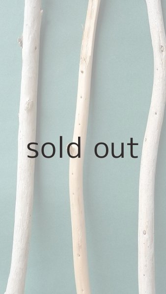 画像3: 棒流木セット (3)