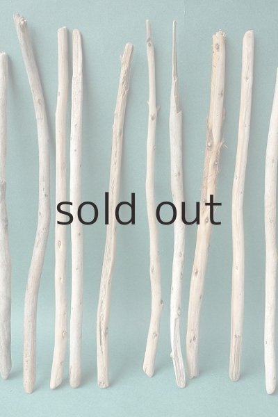 画像3: 棒流木セット (3)