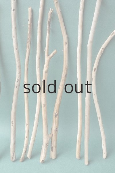 画像3: 棒流木セット (3)