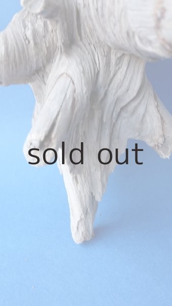 画像2: 変形流木 (2)