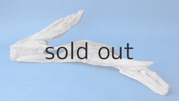 画像5: 変形流木 (5)