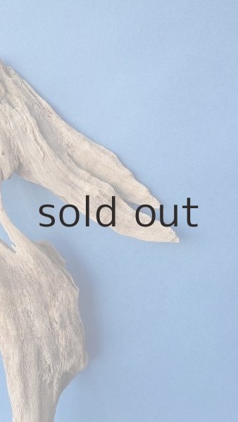 画像4: 変形流木 (4)