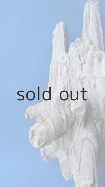 画像3: 変形流木 (3)