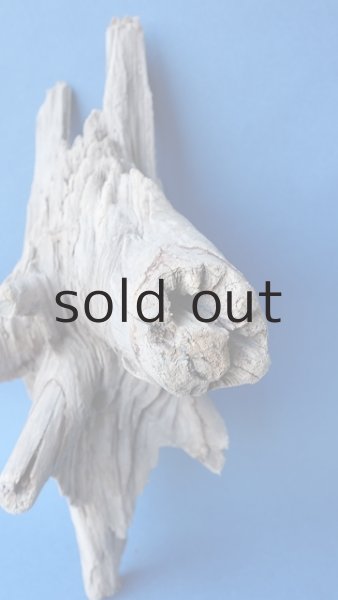 画像4: 変形流木 (4)