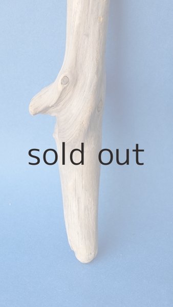 画像2: 変形流木 (2)