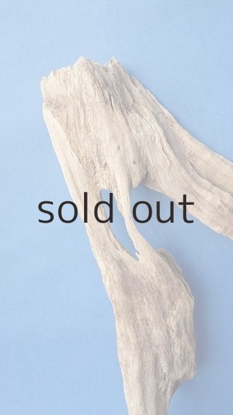 画像3: 変形流木 (3)