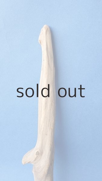 画像3: 変形流木 (3)