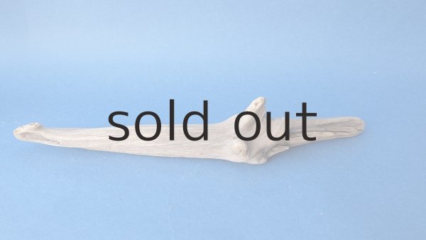 画像4: 変形流木 (4)