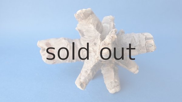 画像6: 変形流木 (6)