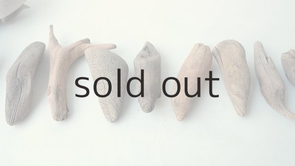 画像6: 変形流木セット (6)