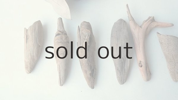 画像2: 変形流木セット (2)