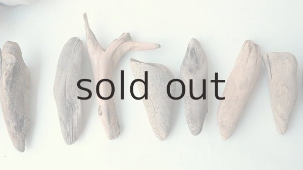 画像3: 変形流木セット (3)