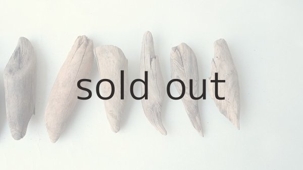 画像4: 変形流木セット (4)