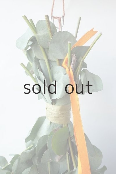 画像2: Dry plants for decor ユーカリ2種シンプルスワッグ (2)