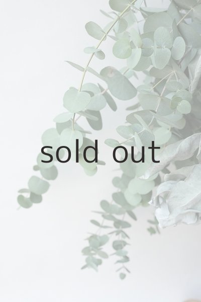 画像3: Dry plants for decor ユーカリ2種シンプルスワッグ (3)