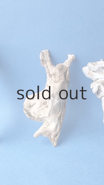 画像3: ミニ流木根セット (3)