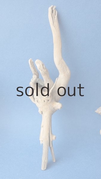 画像3: ミニ流木根セット (3)