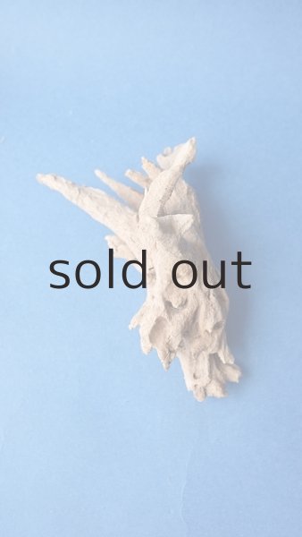 画像3: ミニ流木根セット (3)