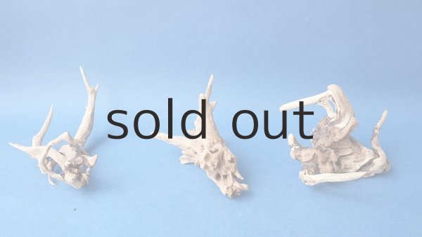 画像5: ミニ流木根セット (5)