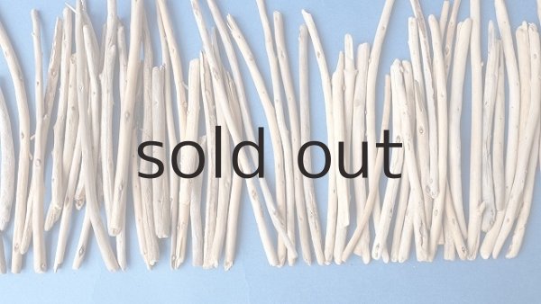 画像3: 棒流木・極細セット (3)