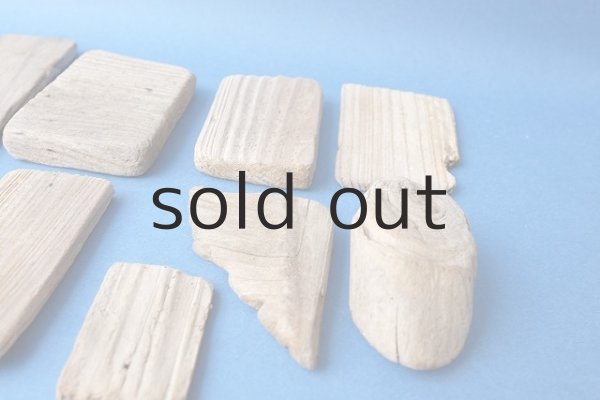 画像6: 板流木セット (6)