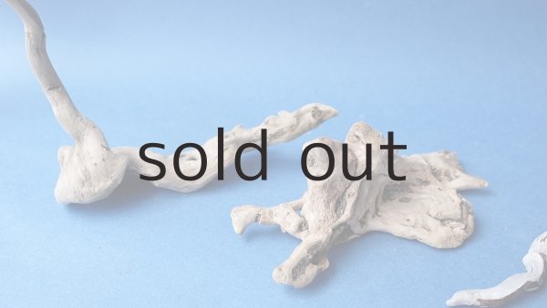 画像9: ミニ流木根セット (9)