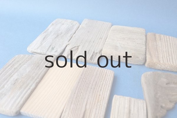 画像7: 板流木セット (7)