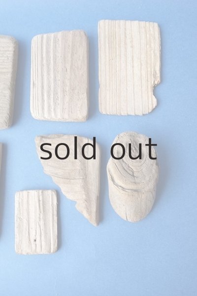 画像4: 板流木セット (4)