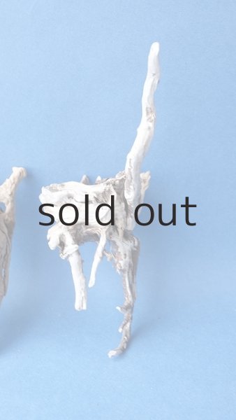 画像4: ミニ流木根セット (4)