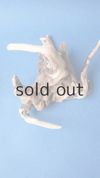 画像4: ミニ流木根セット (4)