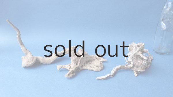 画像8: ミニ流木根セット (8)