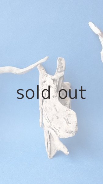 画像6: ミニ流木根セット (6)