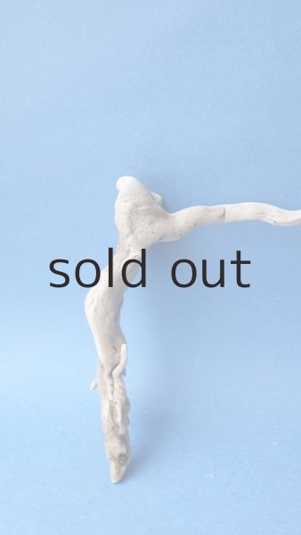 画像5: ミニ流木根セット (5)