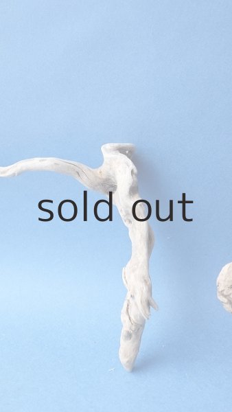 画像2: ミニ流木根セット (2)