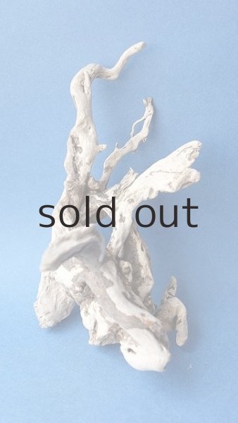 画像2: ミニ流木根セット (2)