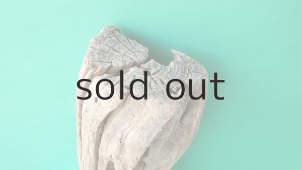 画像4: 幹流木 (4)