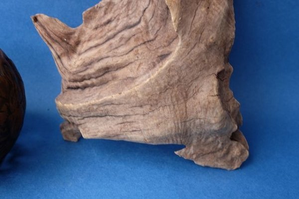 画像2: 変形流木 (2)