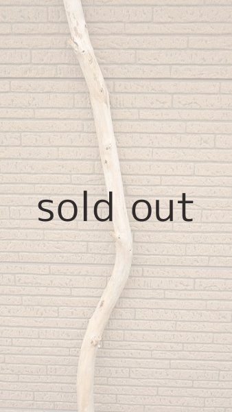 画像3: 棒流木・長尺 (3)