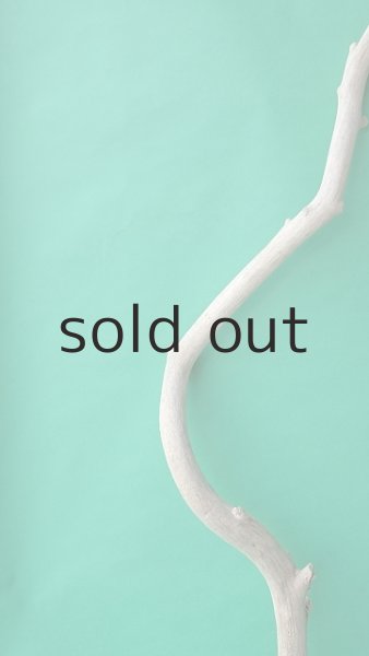 画像5: 幹流木 (5)