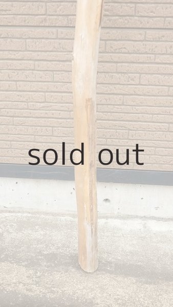 画像2: 棒流木・長尺 (2)