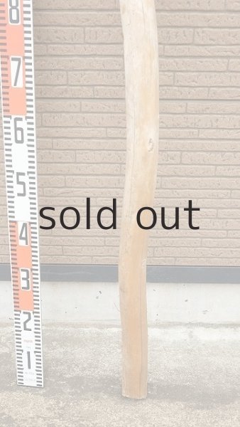 画像5: 棒流木・長尺 (5)