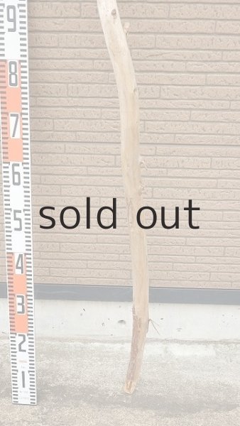 画像5: 棒流木・長尺 (5)